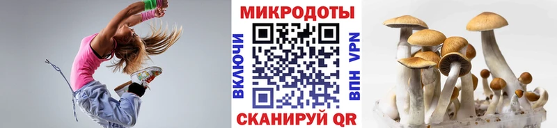 Псилоцибиновые грибы GOLDEN TEACHER  где найти наркотики  Кострома 